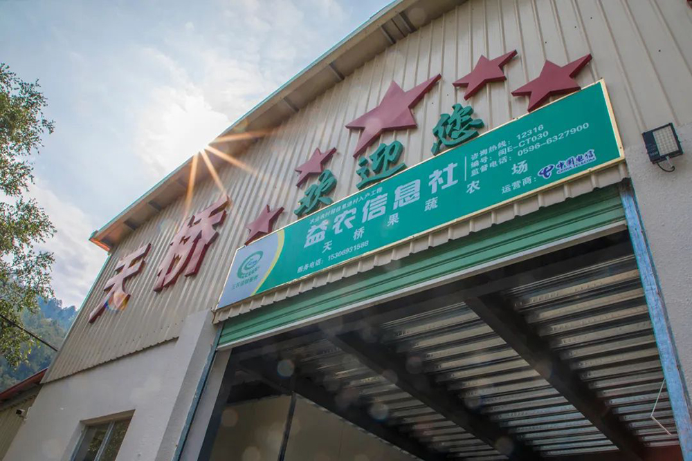 农场环境